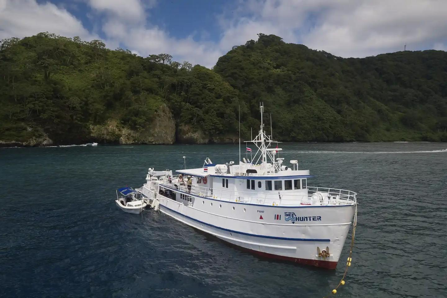 buceadores-rodeados-por-un-banco-de-tiburones-martillo-en-isla-del-coco