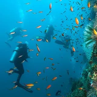 Buceo Nocturno en San Andrés