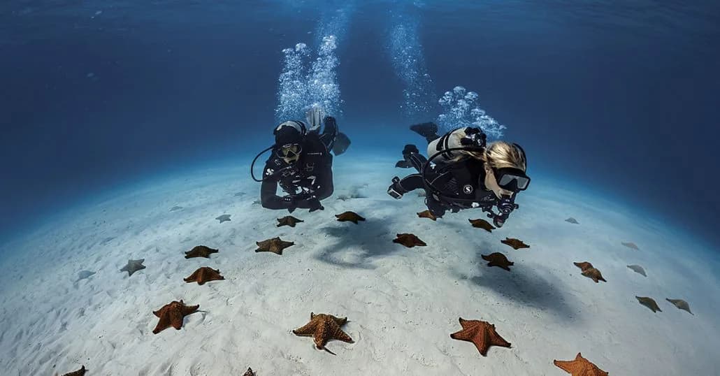 Pack Open Water Diver + 10 noches