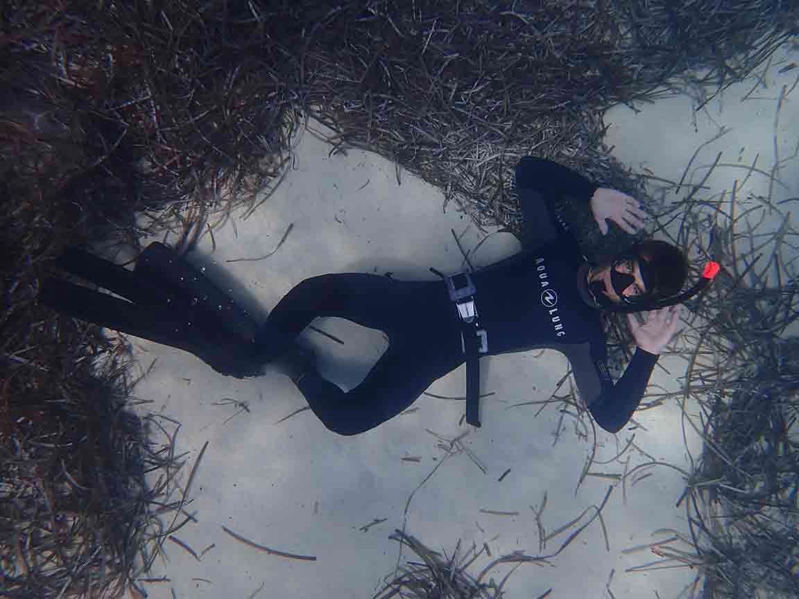 Curso de Apnea Nivel 1