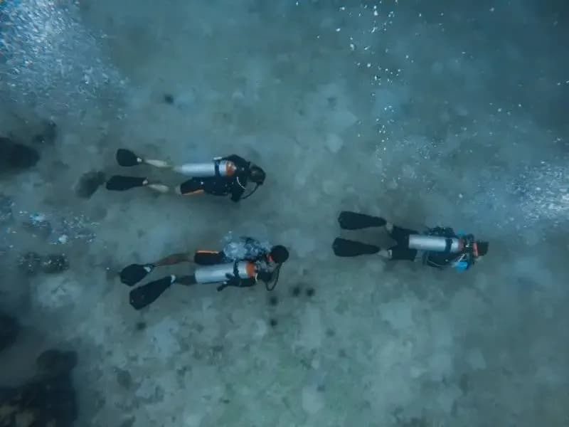 PADI Rescue Course in Koh Kood