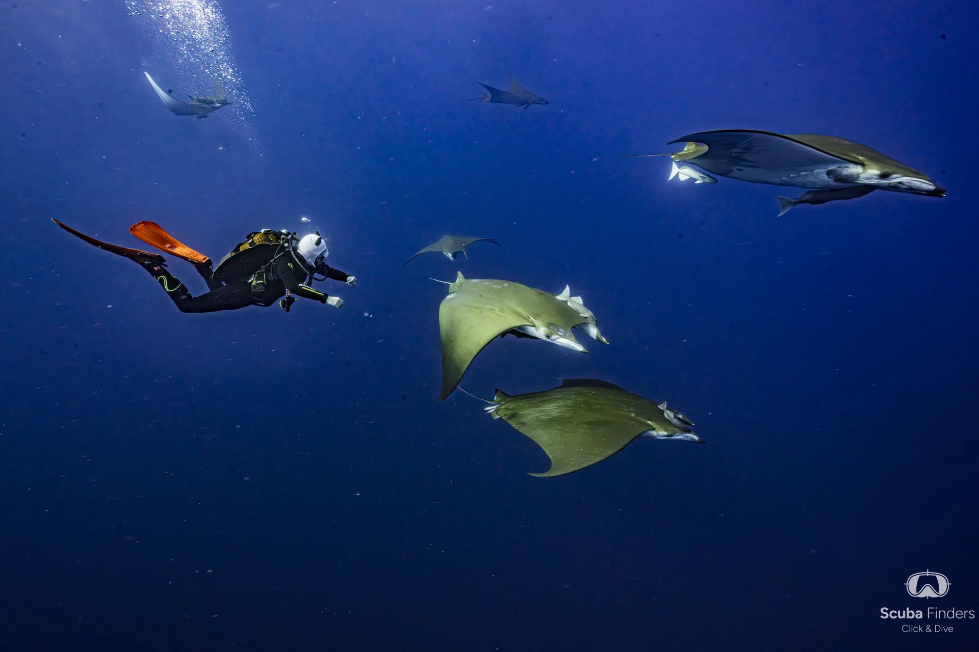 The Azores - The Jewel of the Atlantic