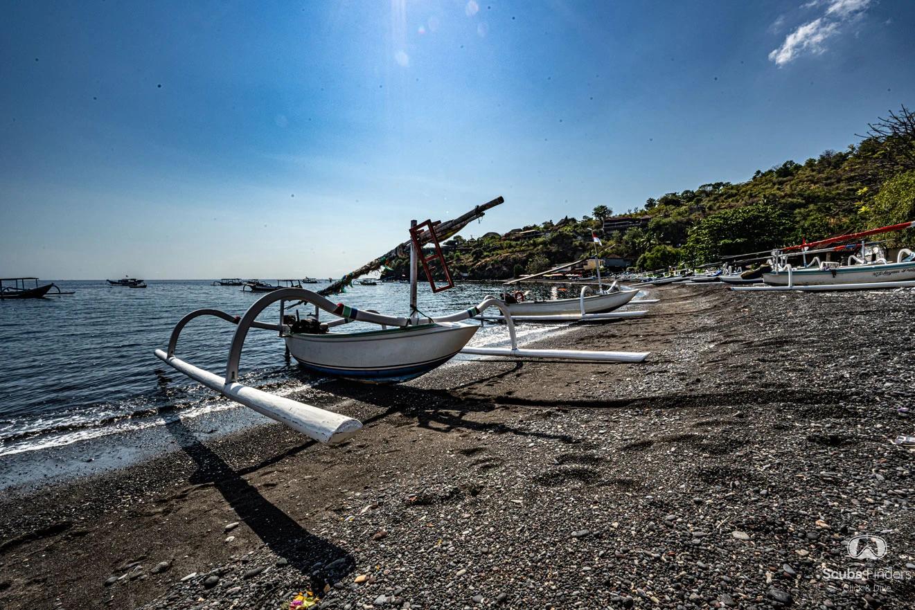 Epic Bali Dive Experience: Premium Package