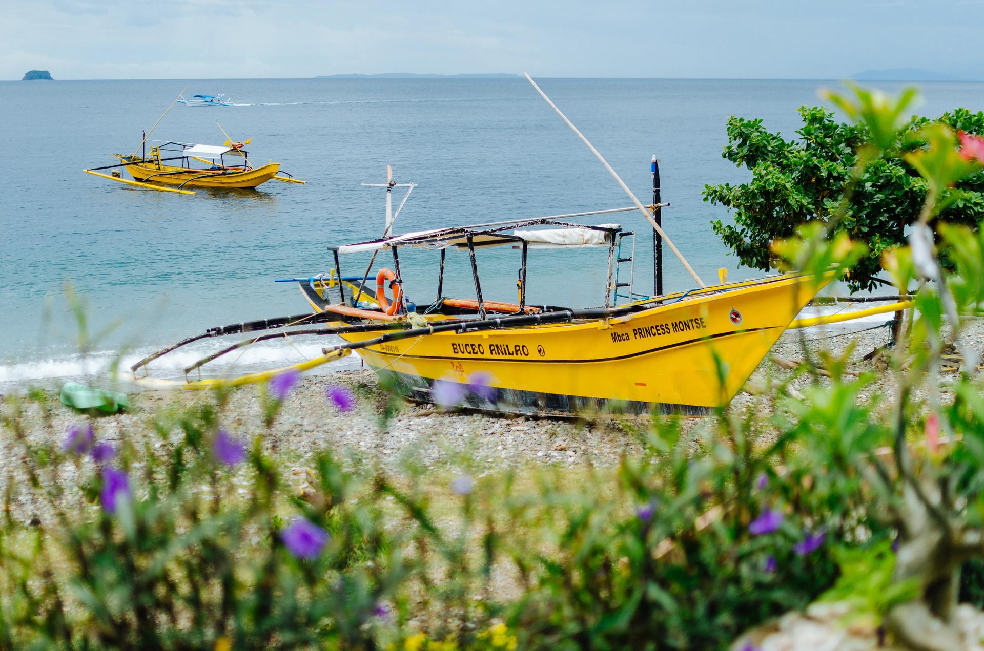 Anilao - The Macro Paradise
