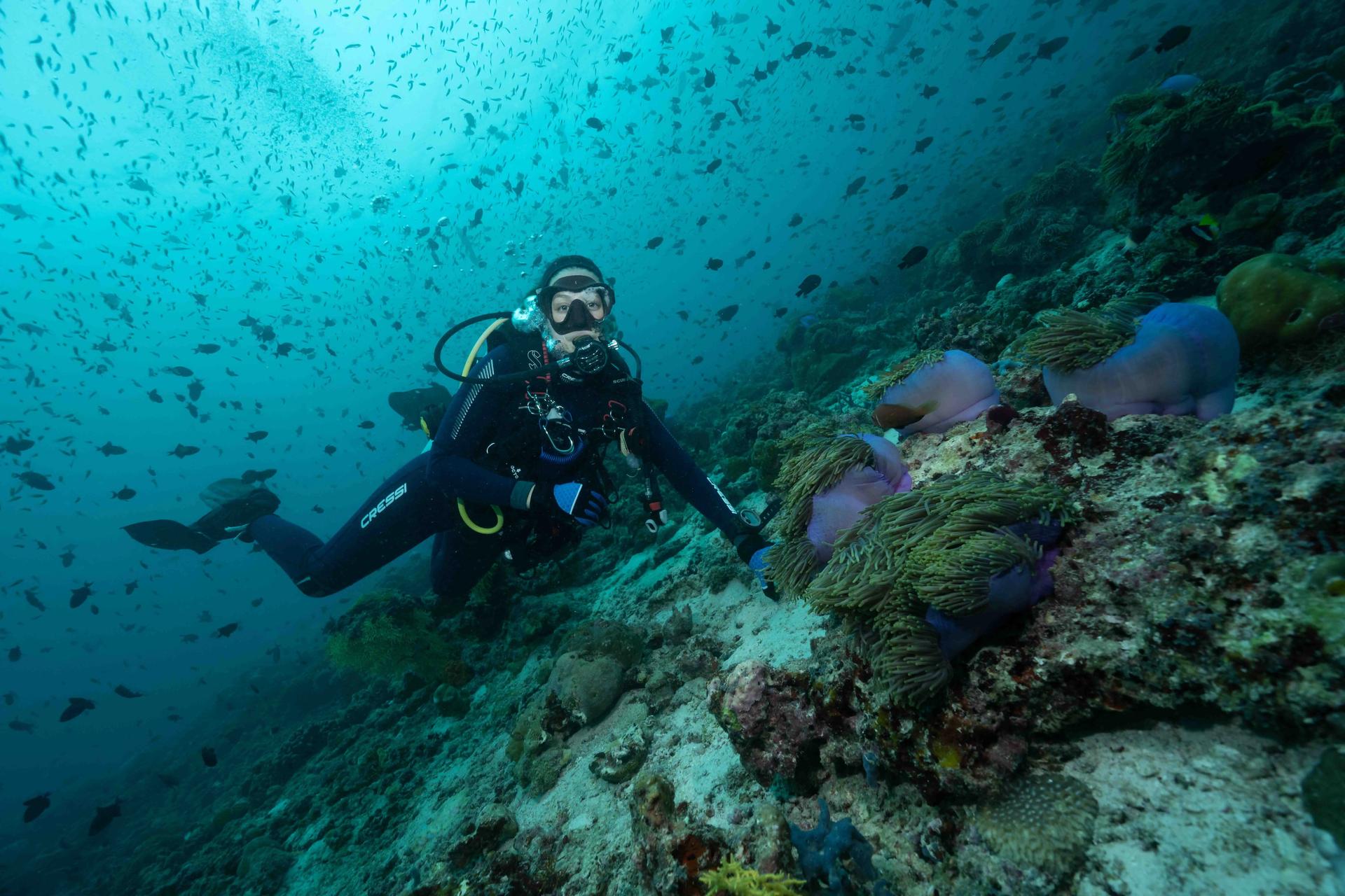 open-water-diver-course-dive-x-playa-del-carmen