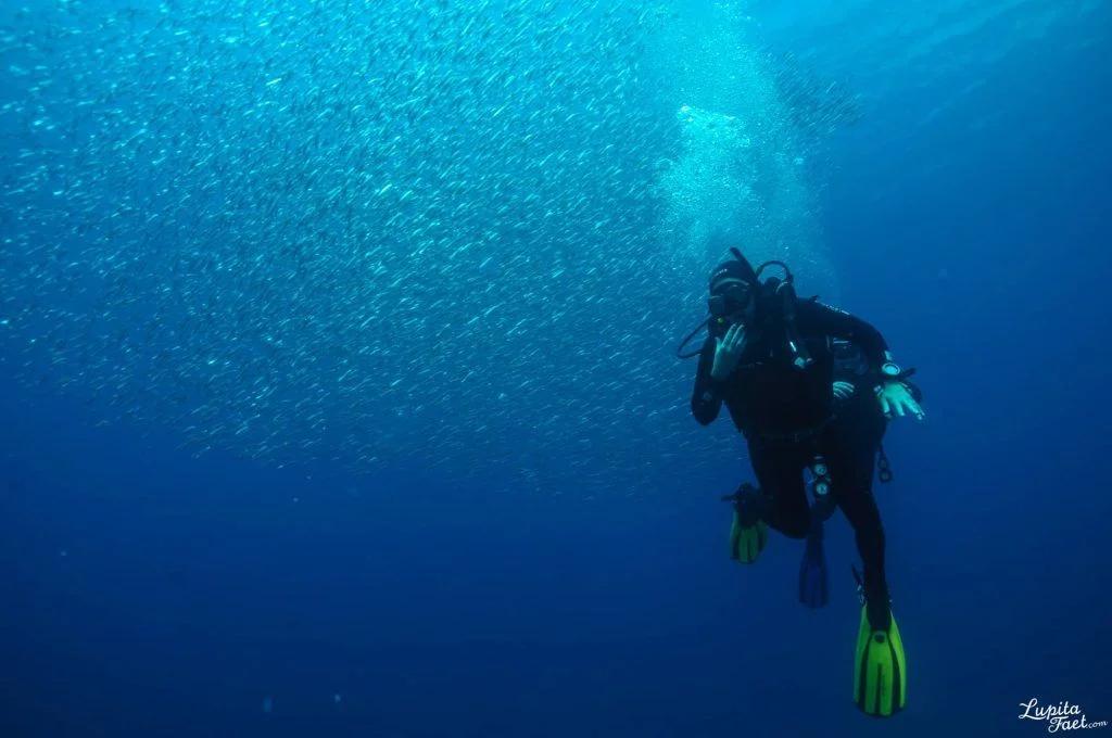 fun-dive-from-shore-with-equipment-la-escafandra