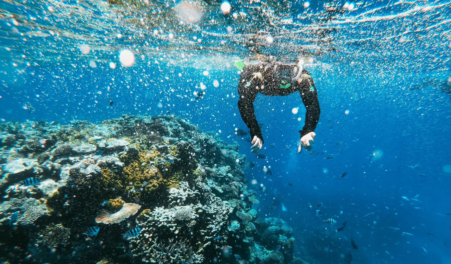 double-snorkeling-trip-haliotis-madeira-portugal