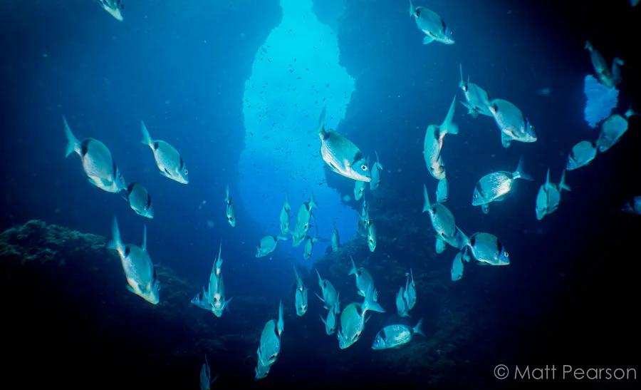 double-fun-dive-albatros-diving-mallorca