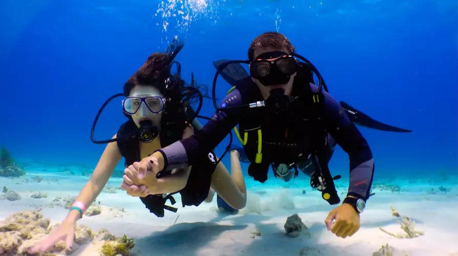 5-dives-excursion-island-catalina-1-free-dive