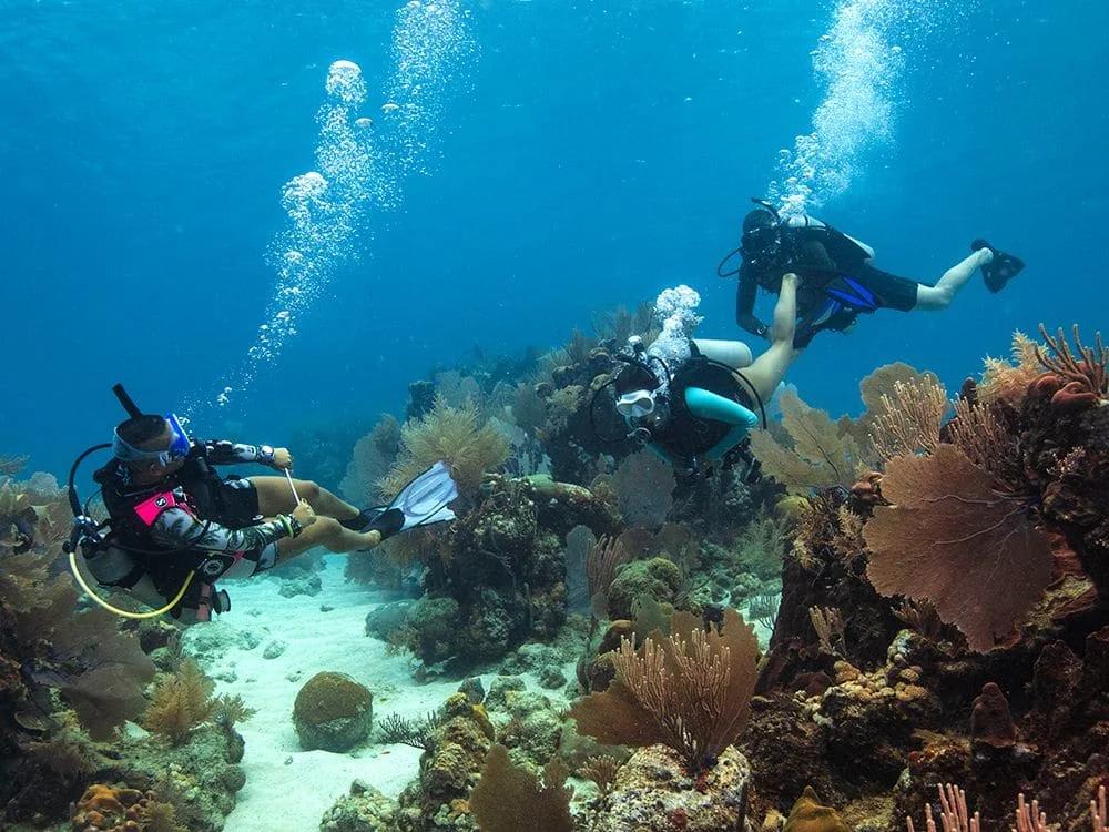 dive-master-capo-galera