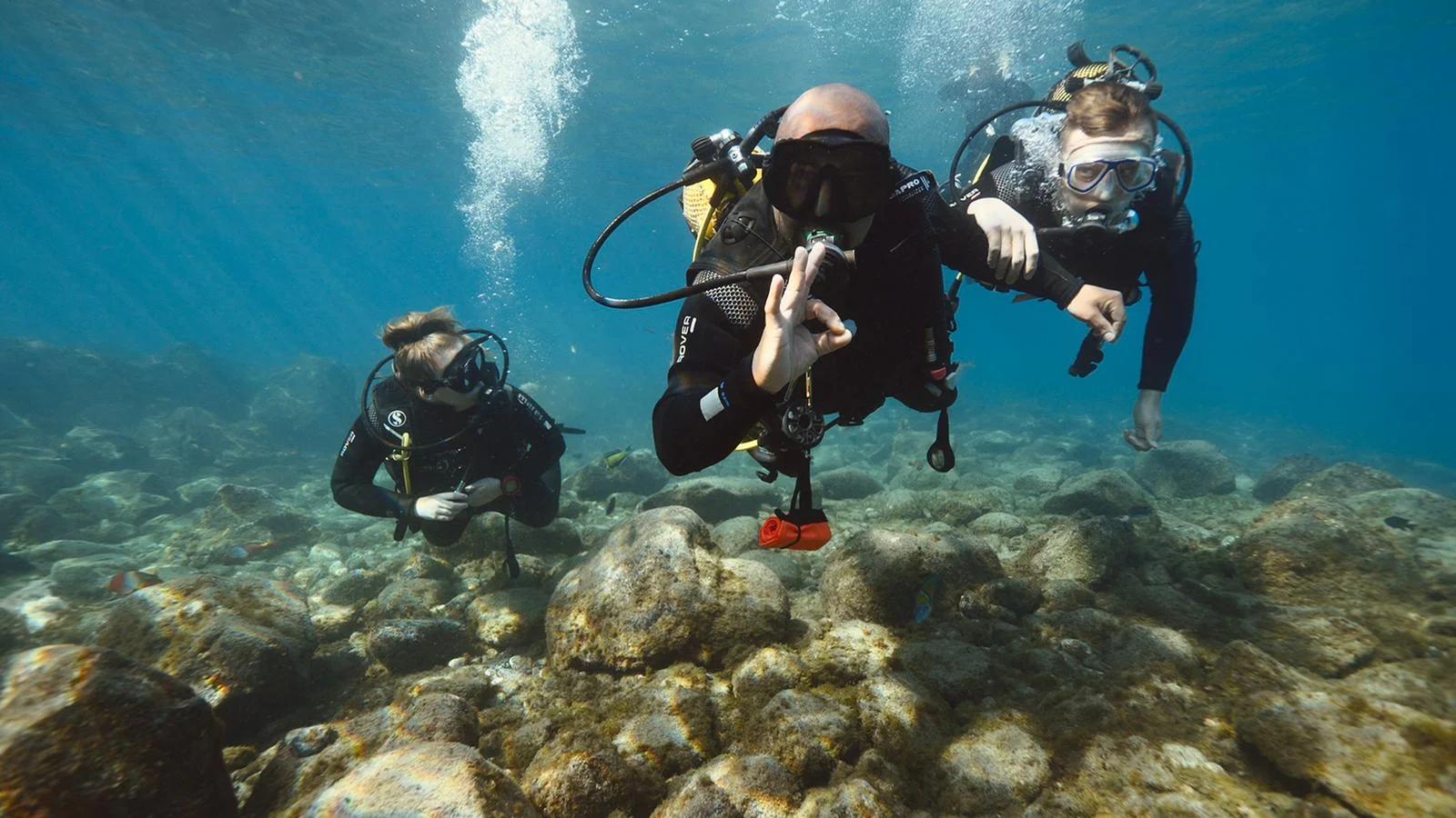 try-dive-vibe-dive