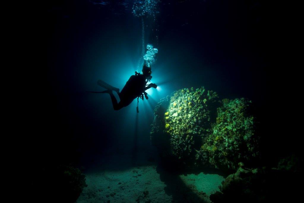night-dive-specialty-non-stop-divers