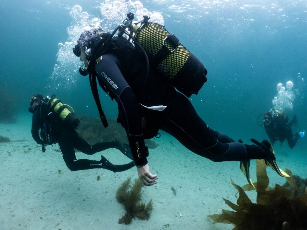 rescue-diver-course-phantom-divers