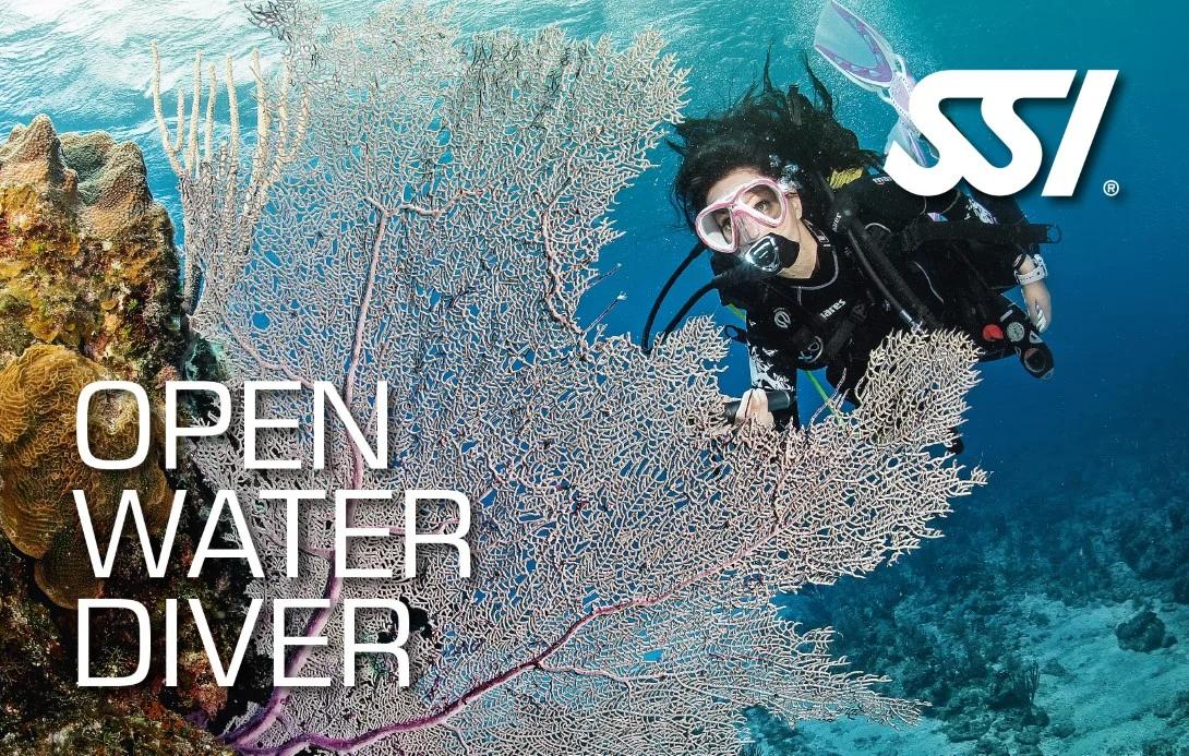 open-water-diver-fuerteventura-diving