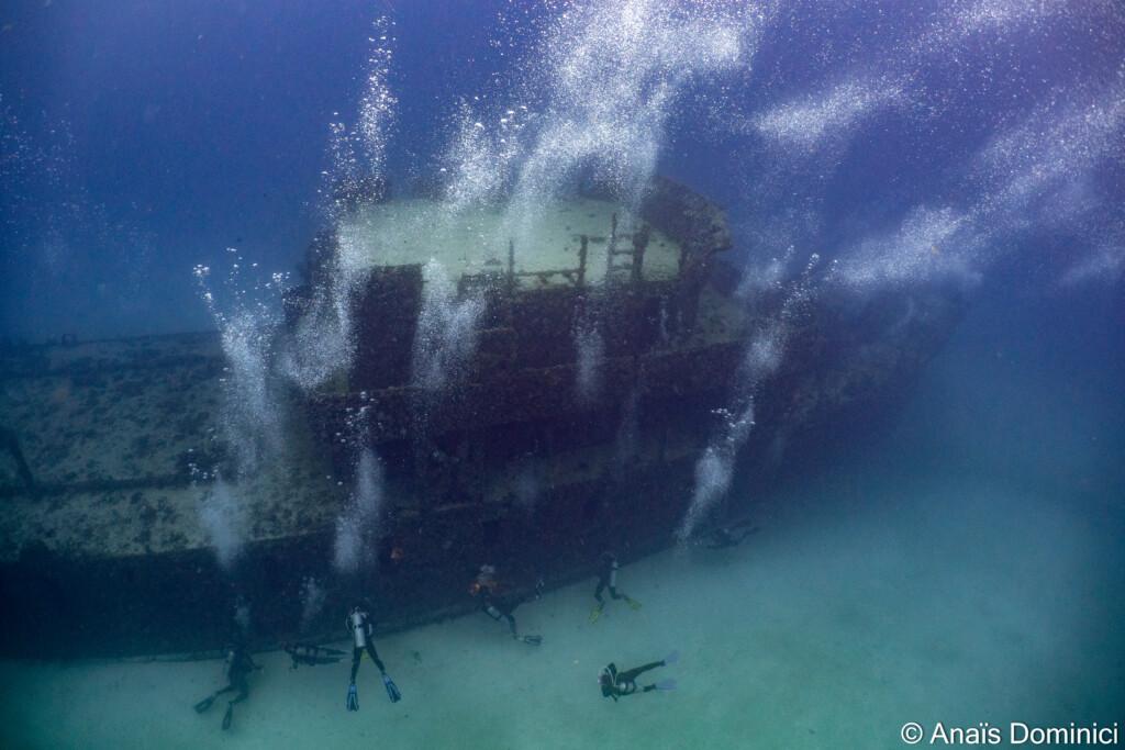 pecio-en-puerto-morelos-mexico-scuba-finders