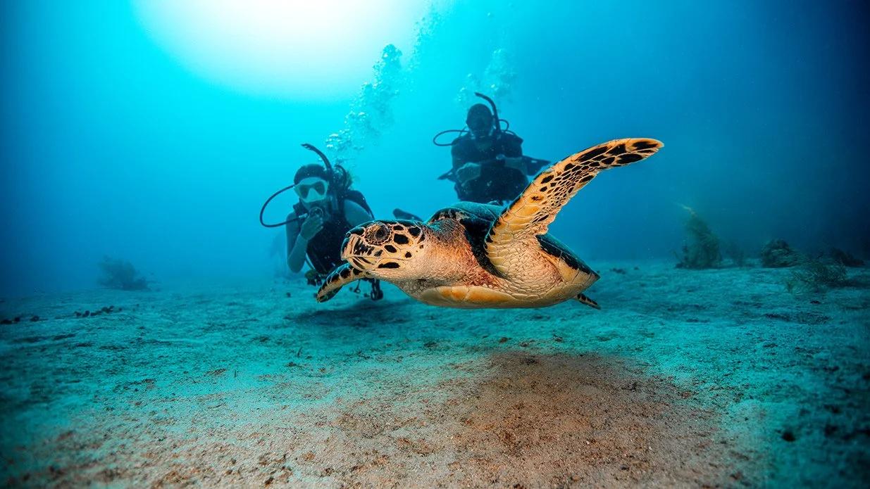 discover-scuba-diving-blue-ocean-marsa-alam