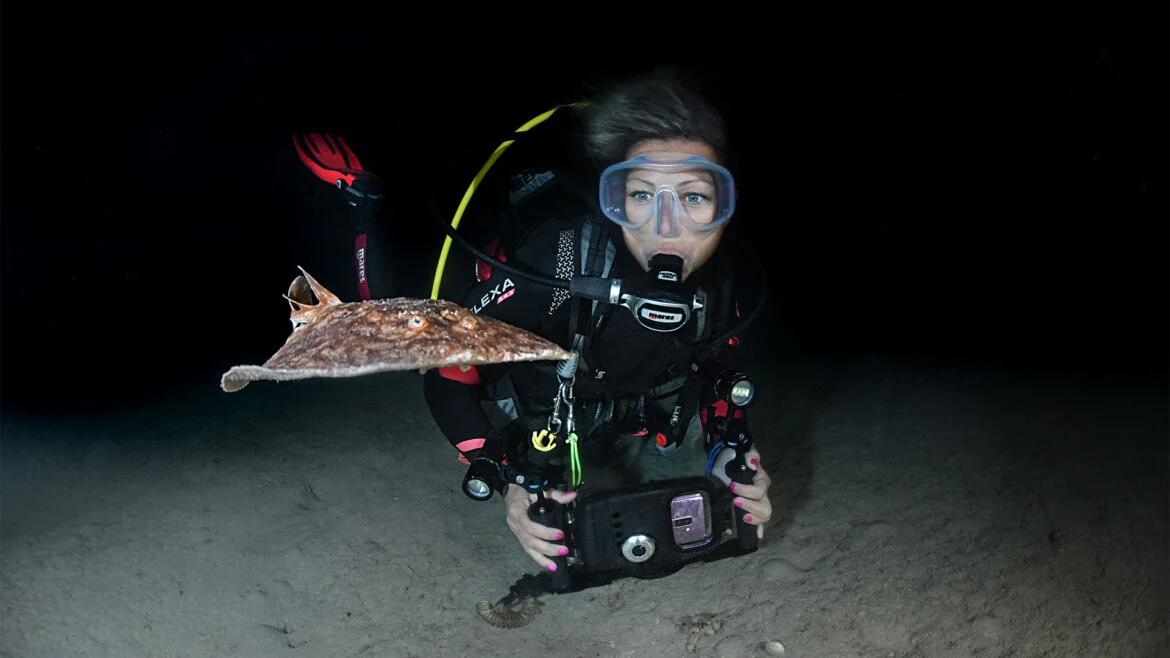 night-dive-specialty-mourosub-cantabria