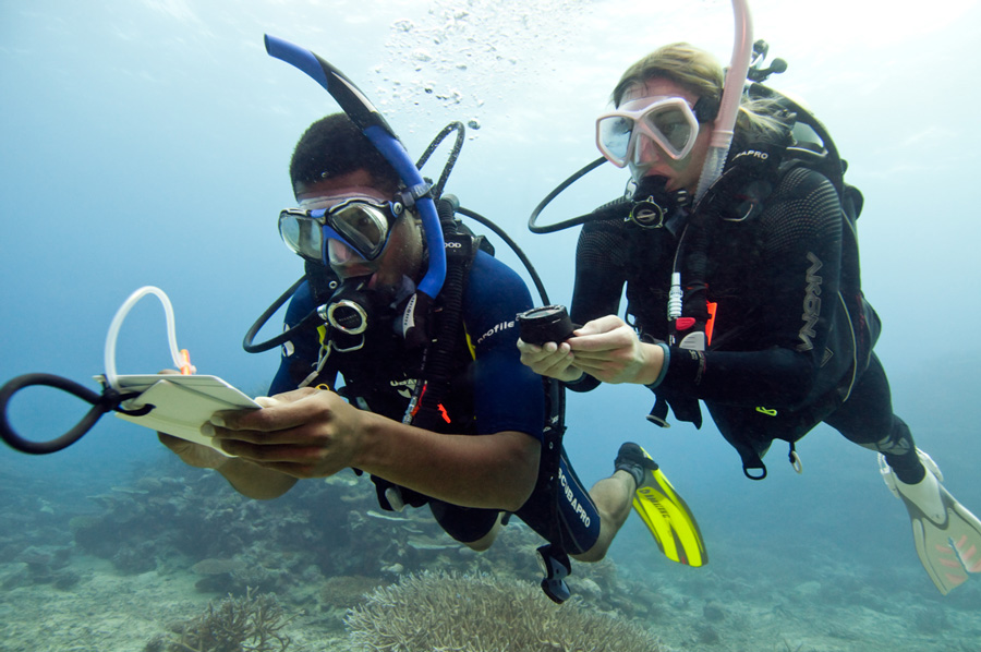 underwater-navigation-specialty-course-blue-magma