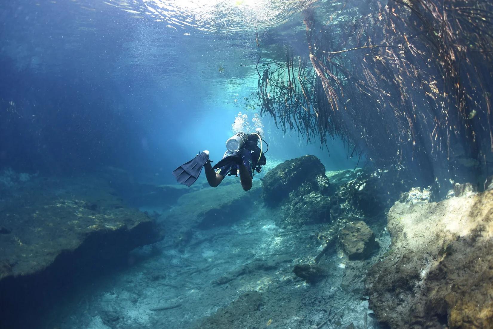 double-dive-cenote-dos-ojos
