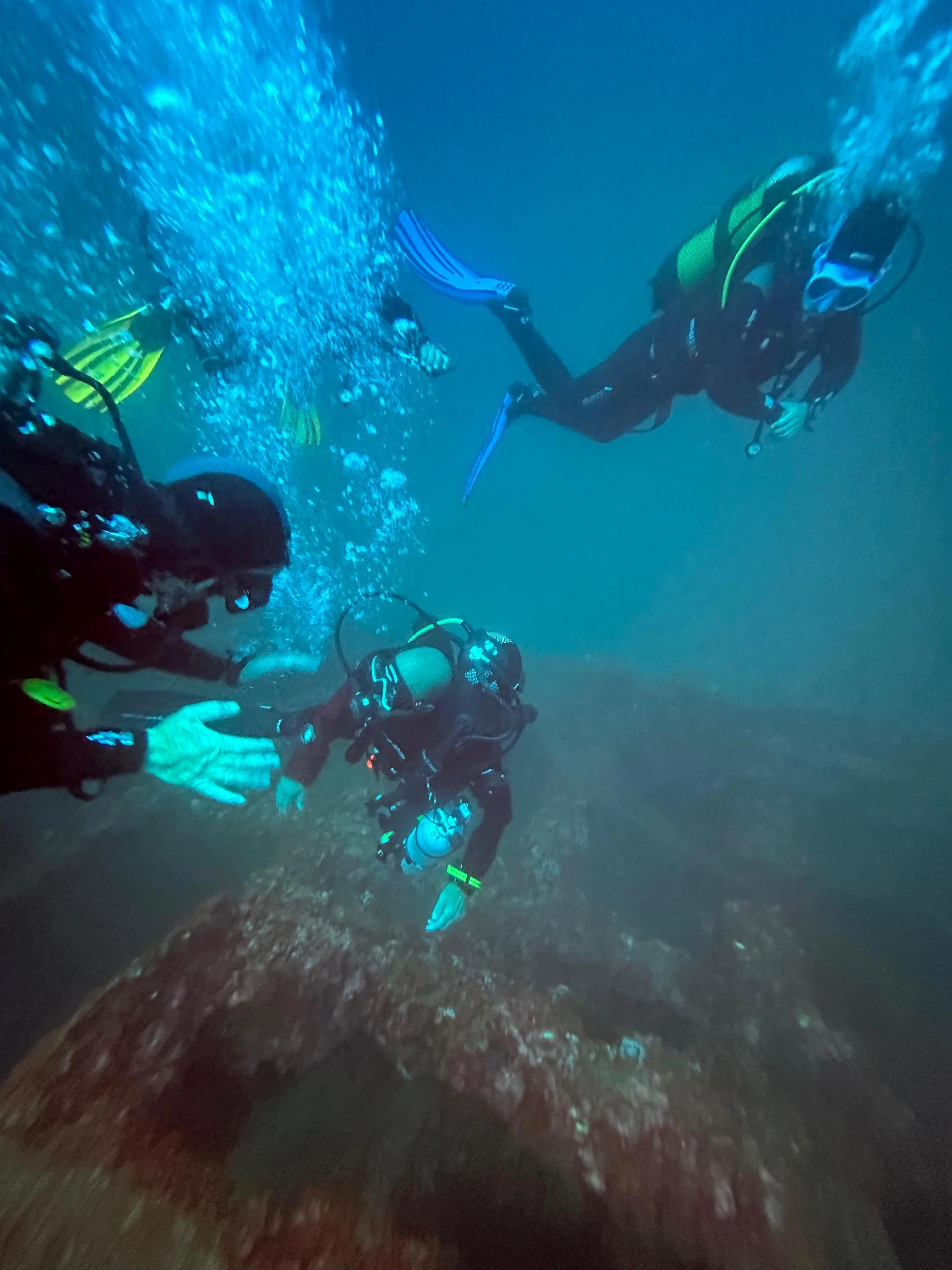 fun-dive-at-el-carbonero-moondive