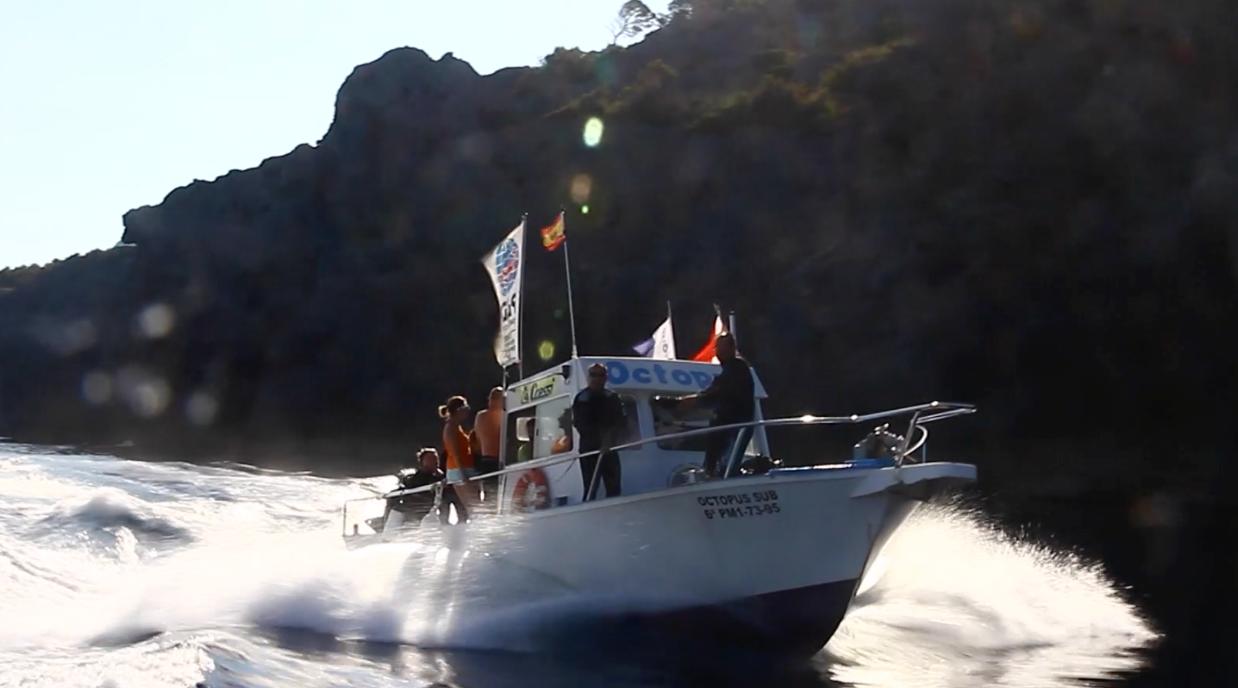 full-day-trip-octopus-scuba-mallorca