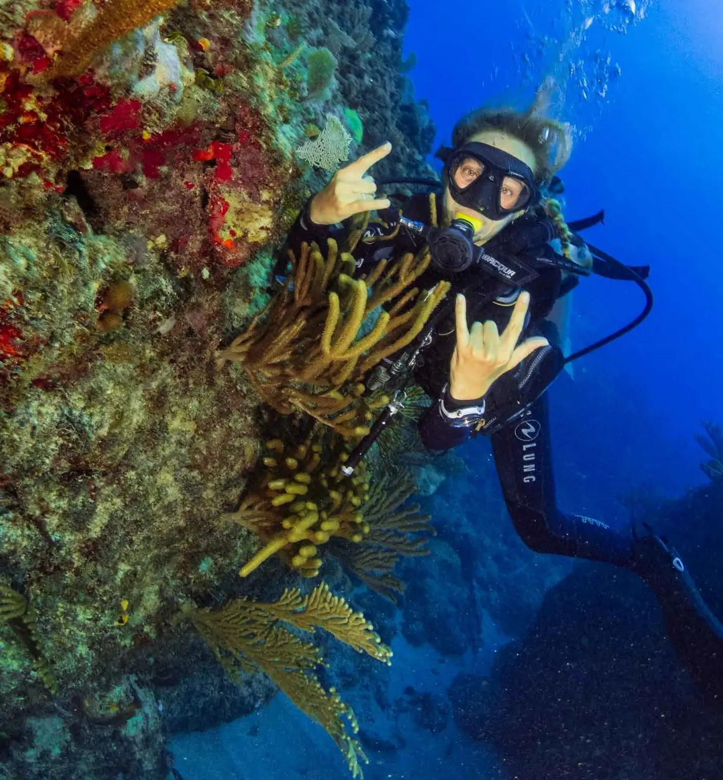 6-dives-in-3-days-with-included-equipment