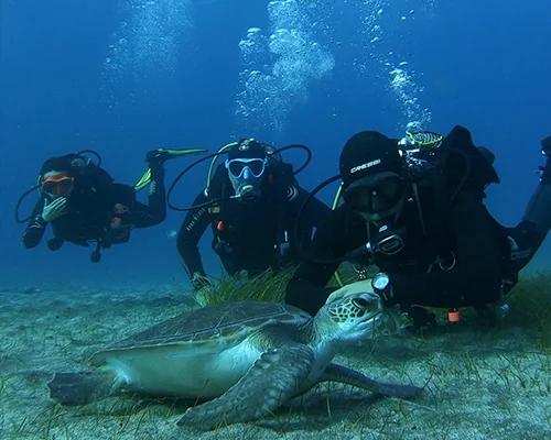 scuba-diver-la-tribu-dive