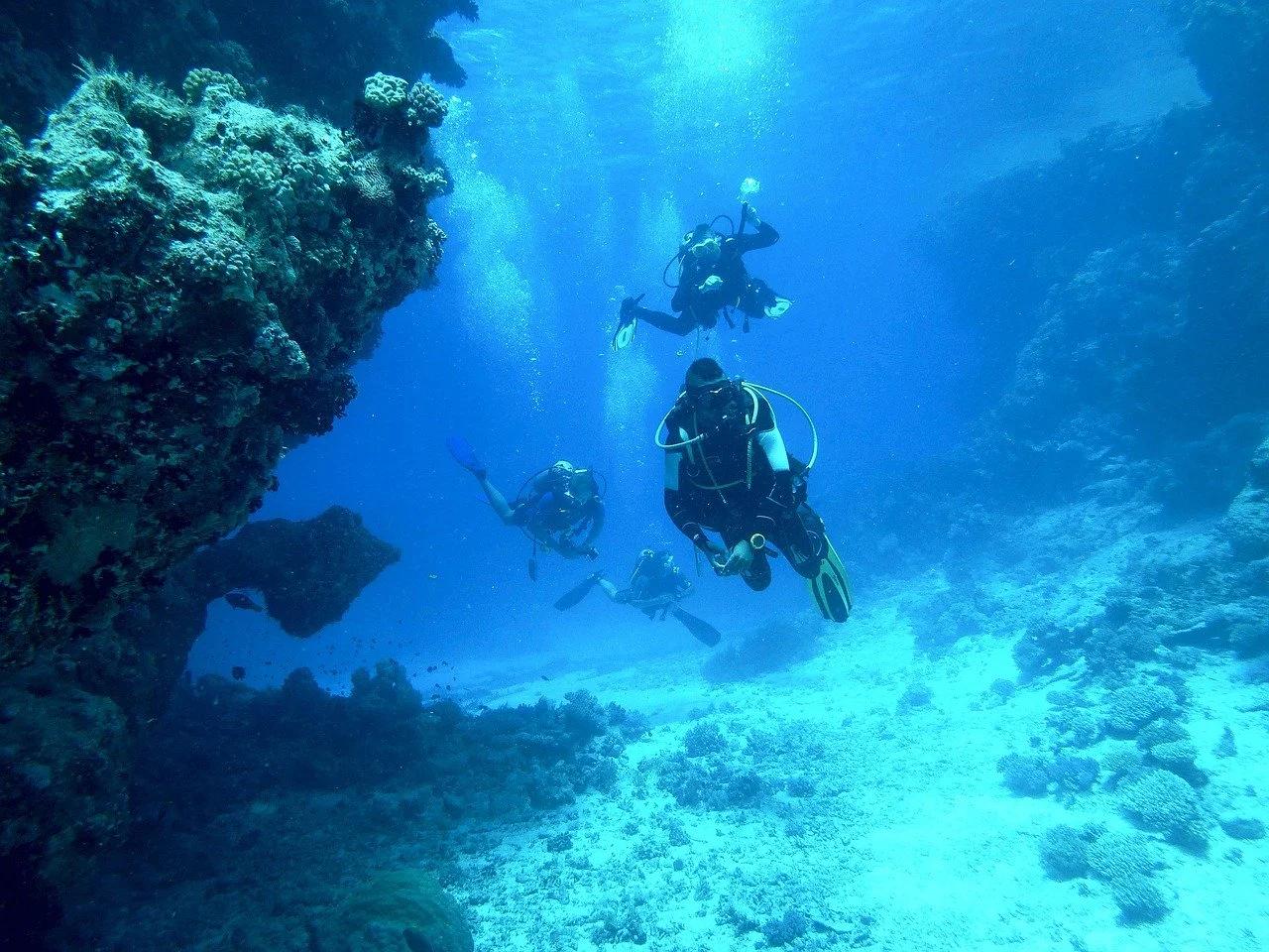 fun-dive-with-own-equipment-at-octopus-scuba-mallorca