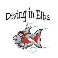 diving-in-elba-procchio