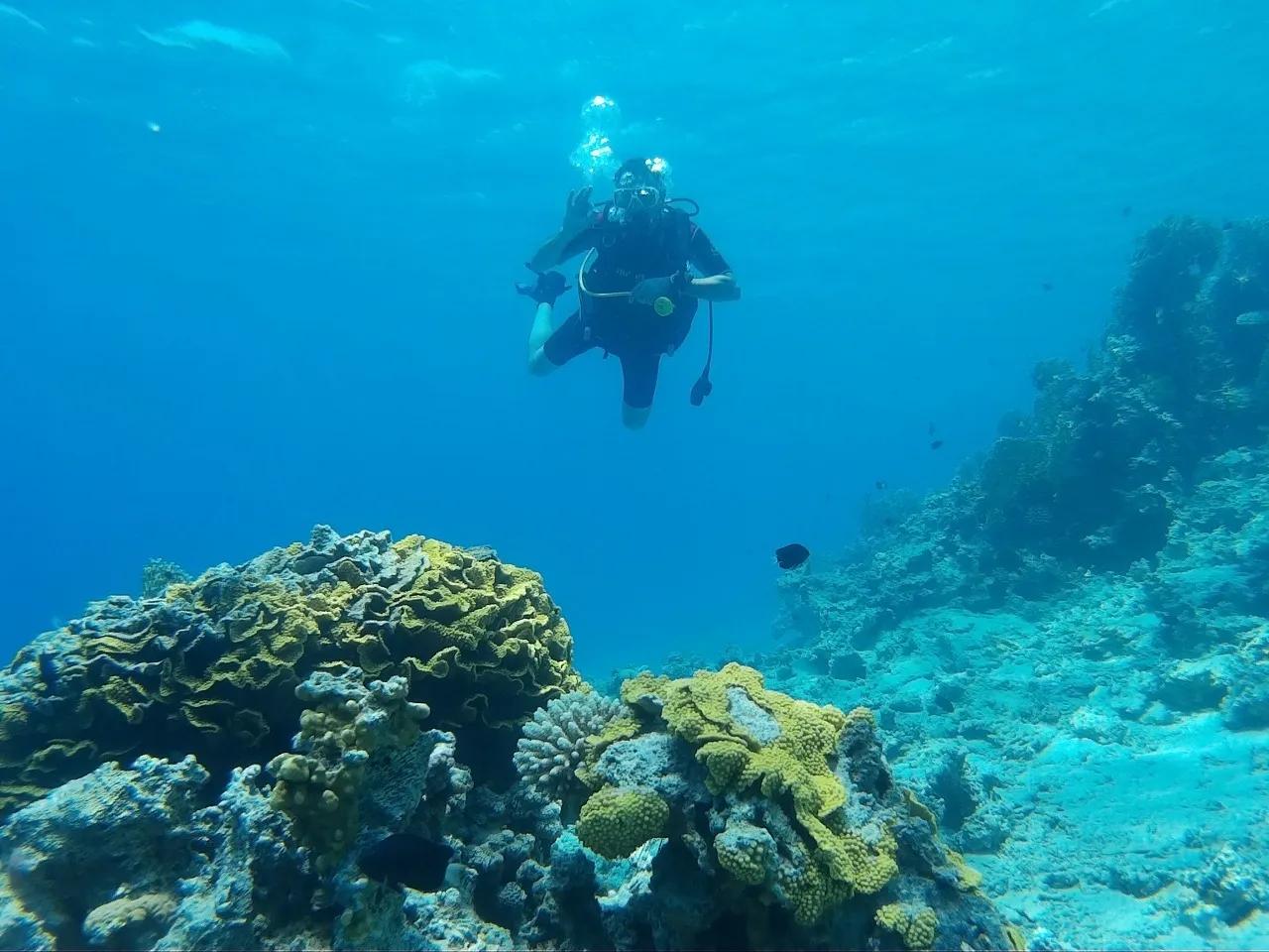 Activity