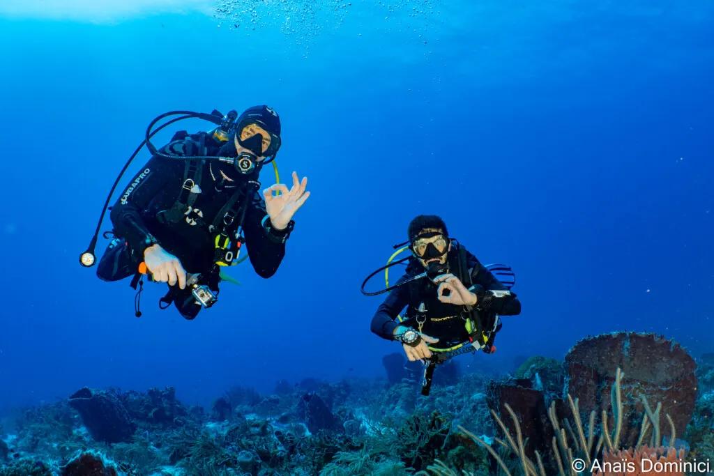 Diving in Playa Del Carmen Reef | Scuba Finders