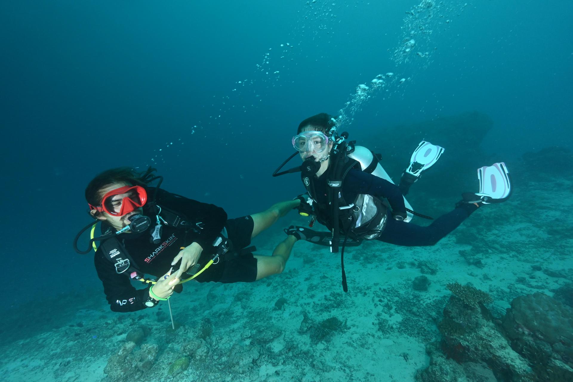 open-water-diver-course