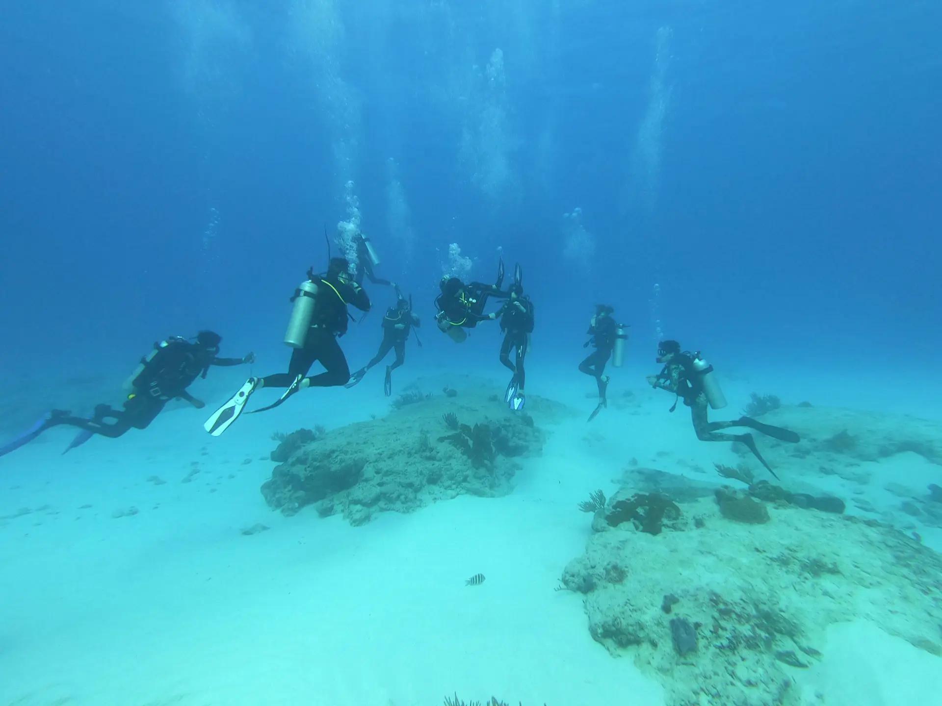 Emergency-Course-Dive-48