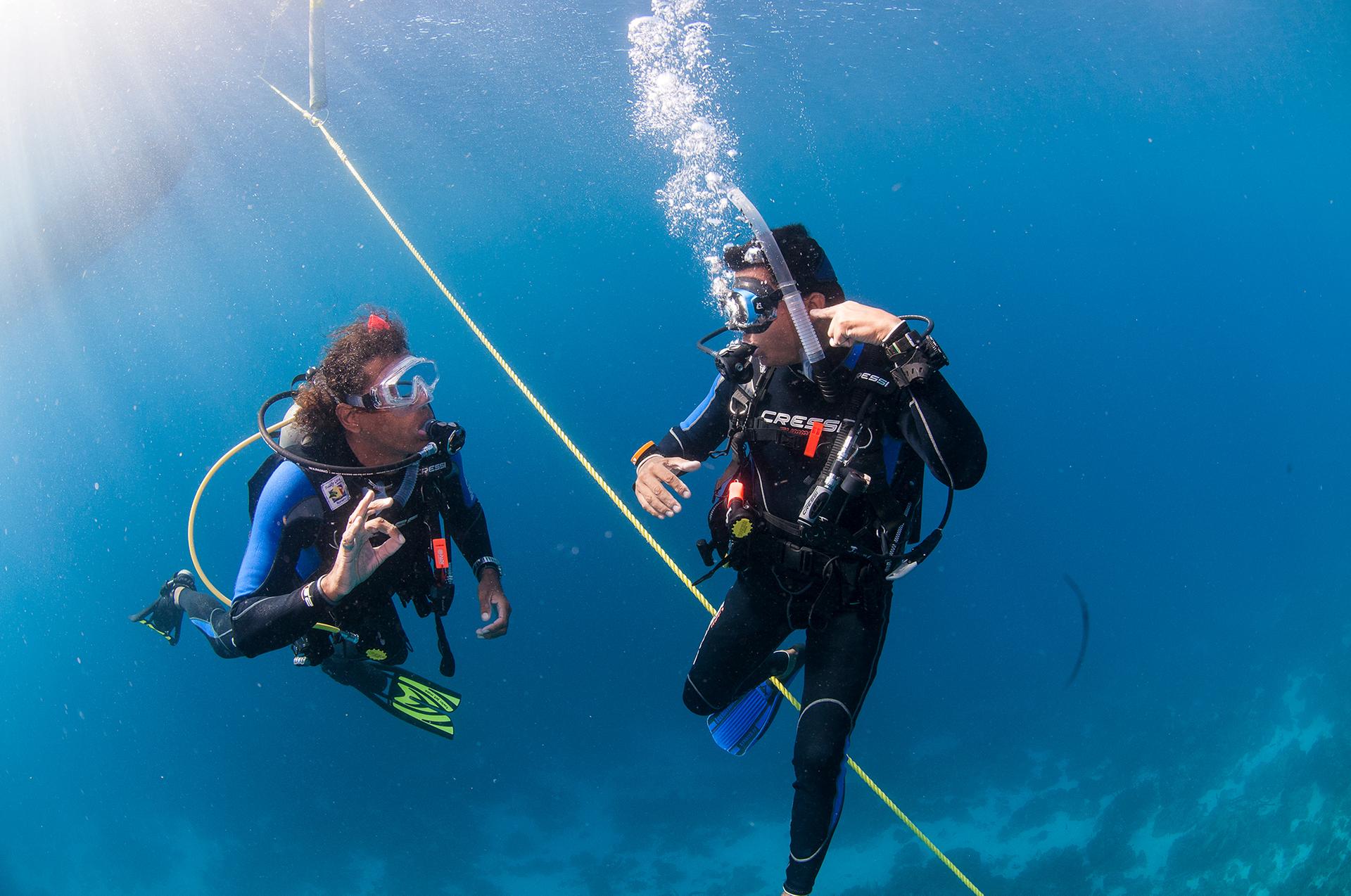 curso-divemaster-basico-buceo-marina