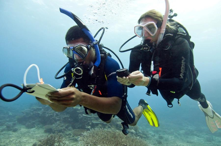 underwater-navigation-la-tribu-dive