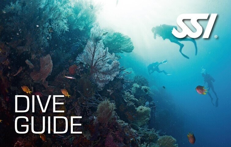 dive-guide-fuerteventura-diving