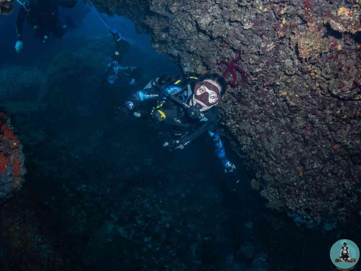 deep-diver-specialty-dive-48