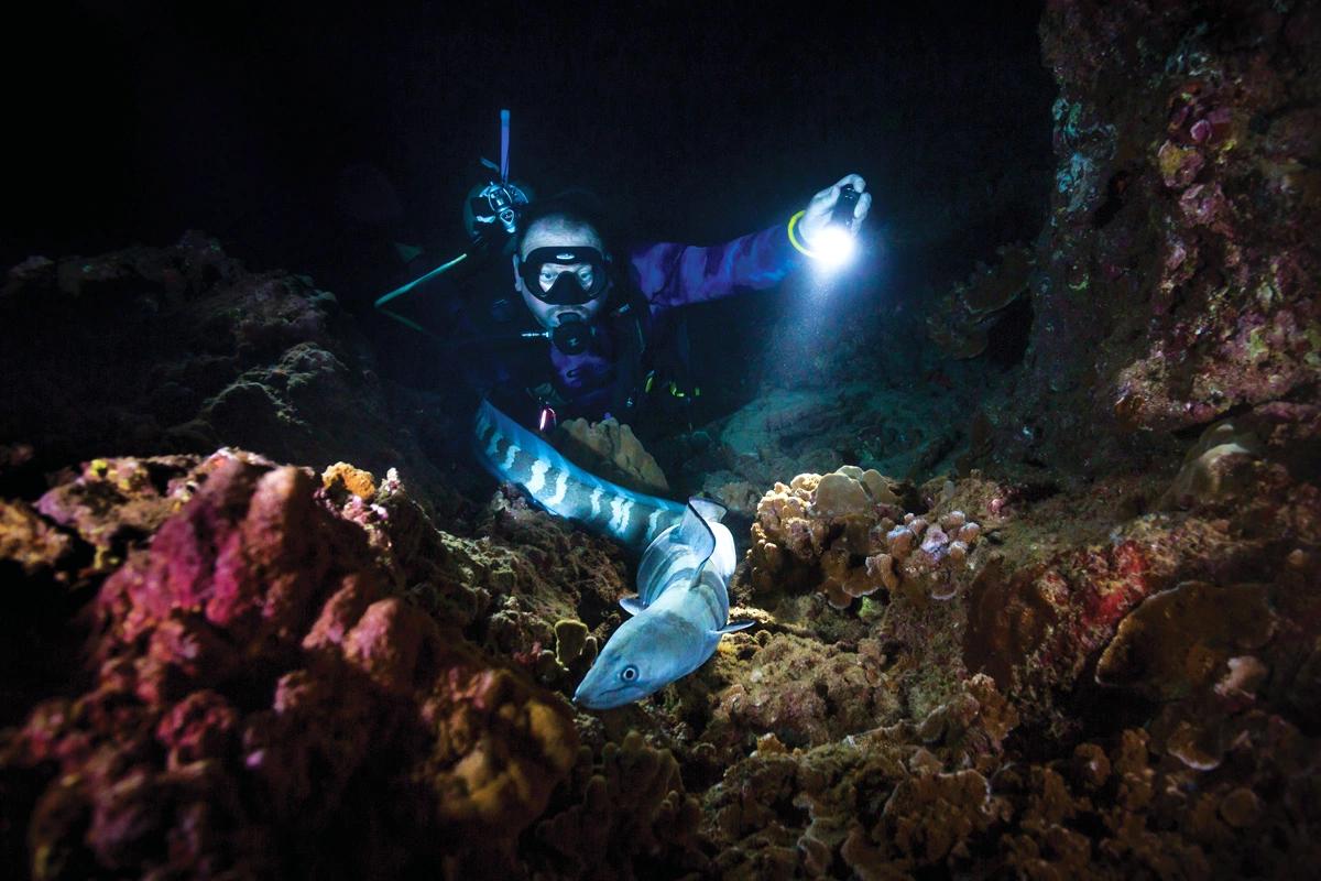 night-dive-with-mahahual