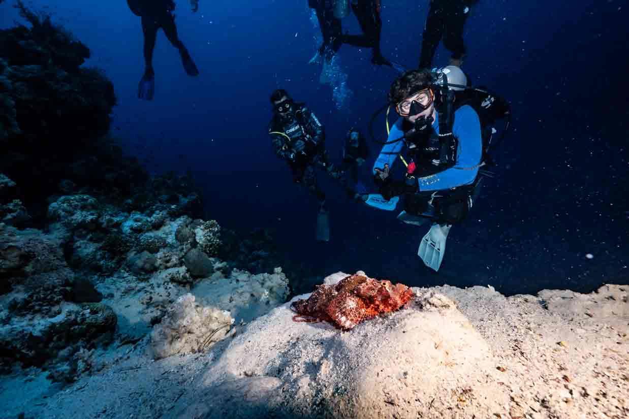 double-fun-dive-haliotis-cape-verde