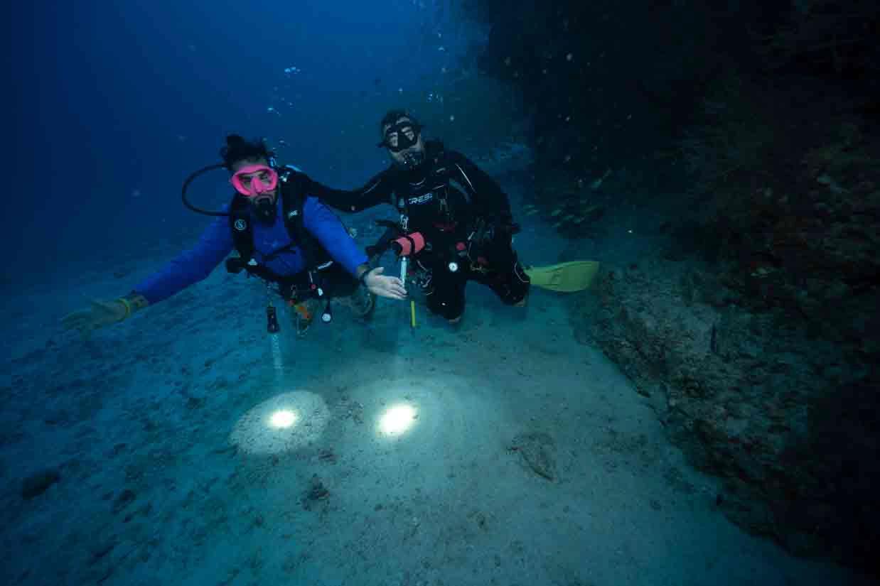 night-diver-specialty-octopus-scuba-mallorca