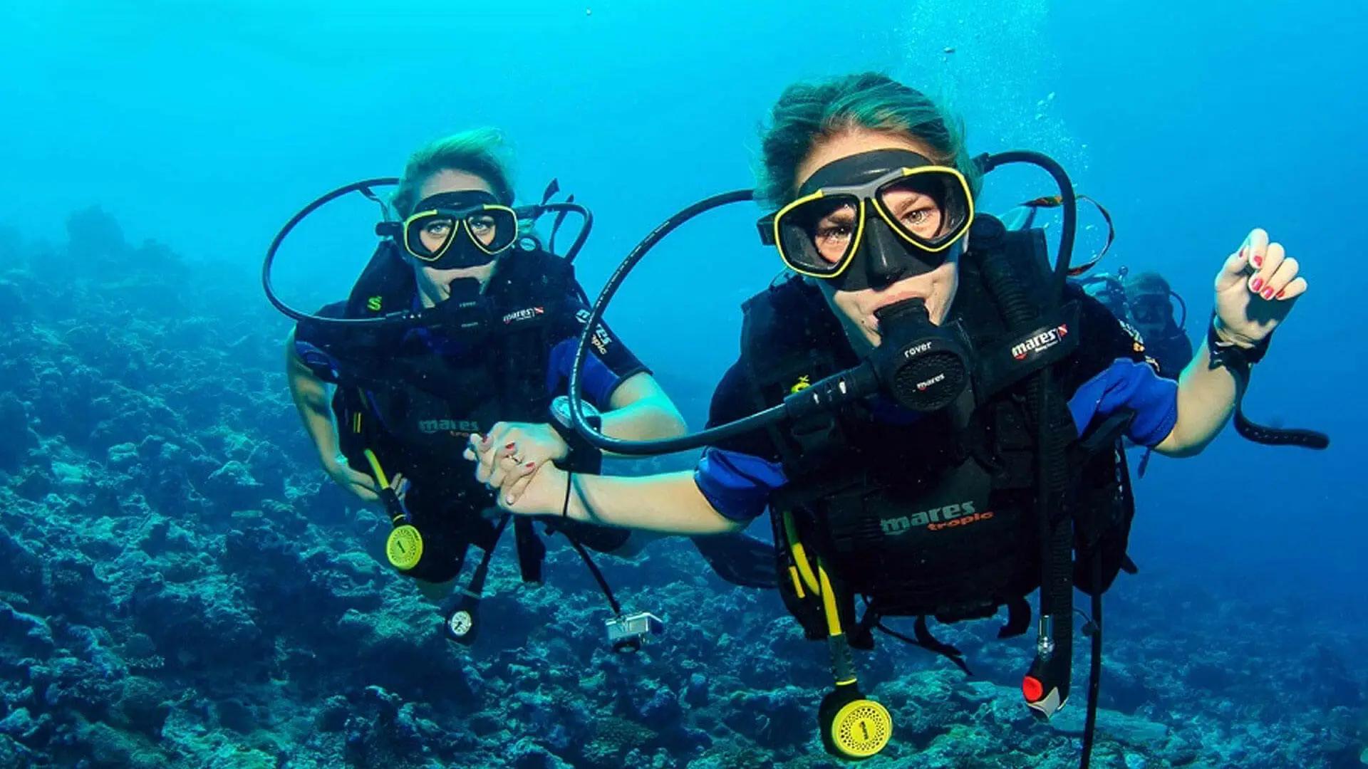 try-dive-vibe-dibe