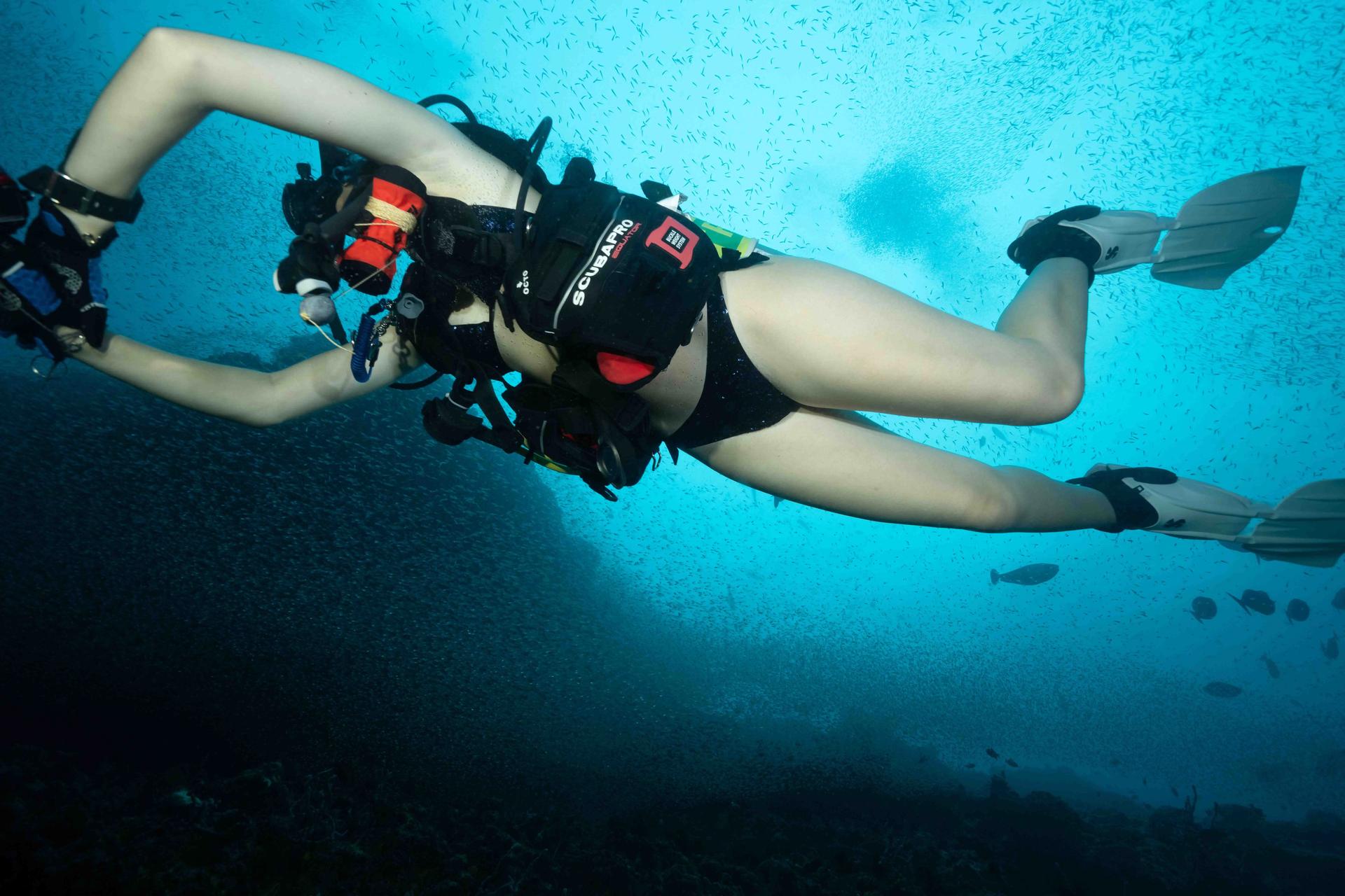 Inmersión en Fuvahmulah. Maldivas con Shark Expeditions
