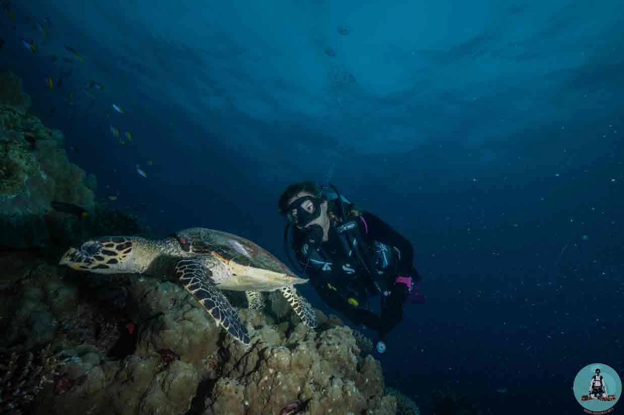 deep-diver-specialty-couse-go-to-dive-protaras-cyprus