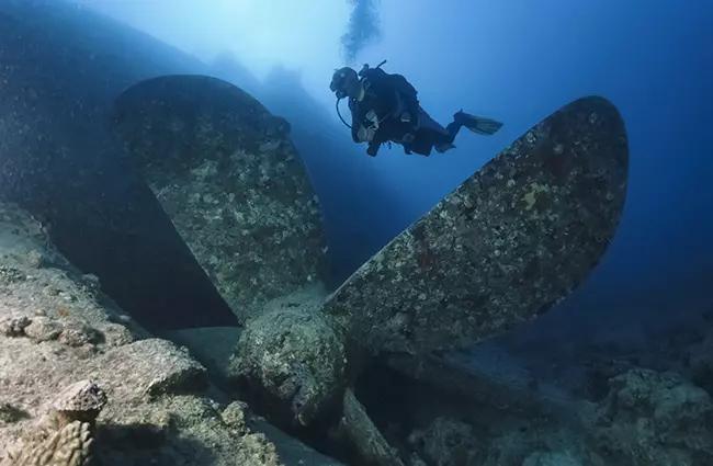 open-water-diver-course-bluewater-menorca