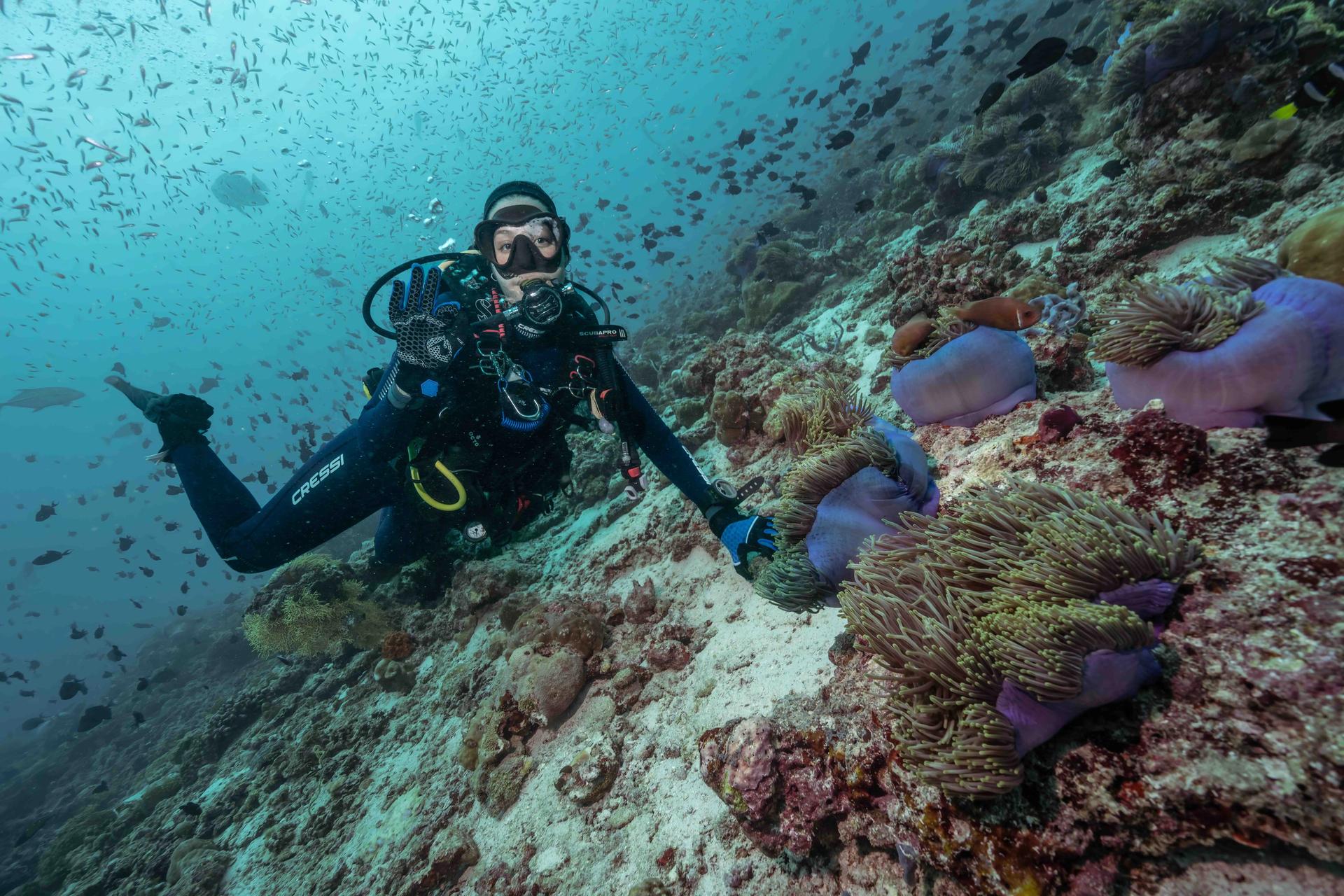double-fun-dive-cozumel-dive-x