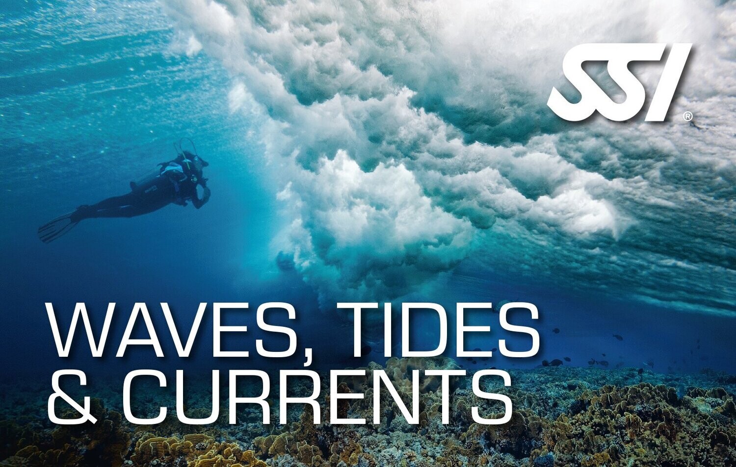 drift-diver-specialty-fuenteventura-diving