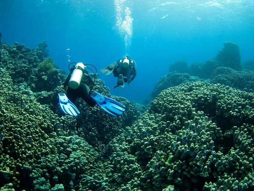 rescue-diver-course-epsilon-curazao-caribe