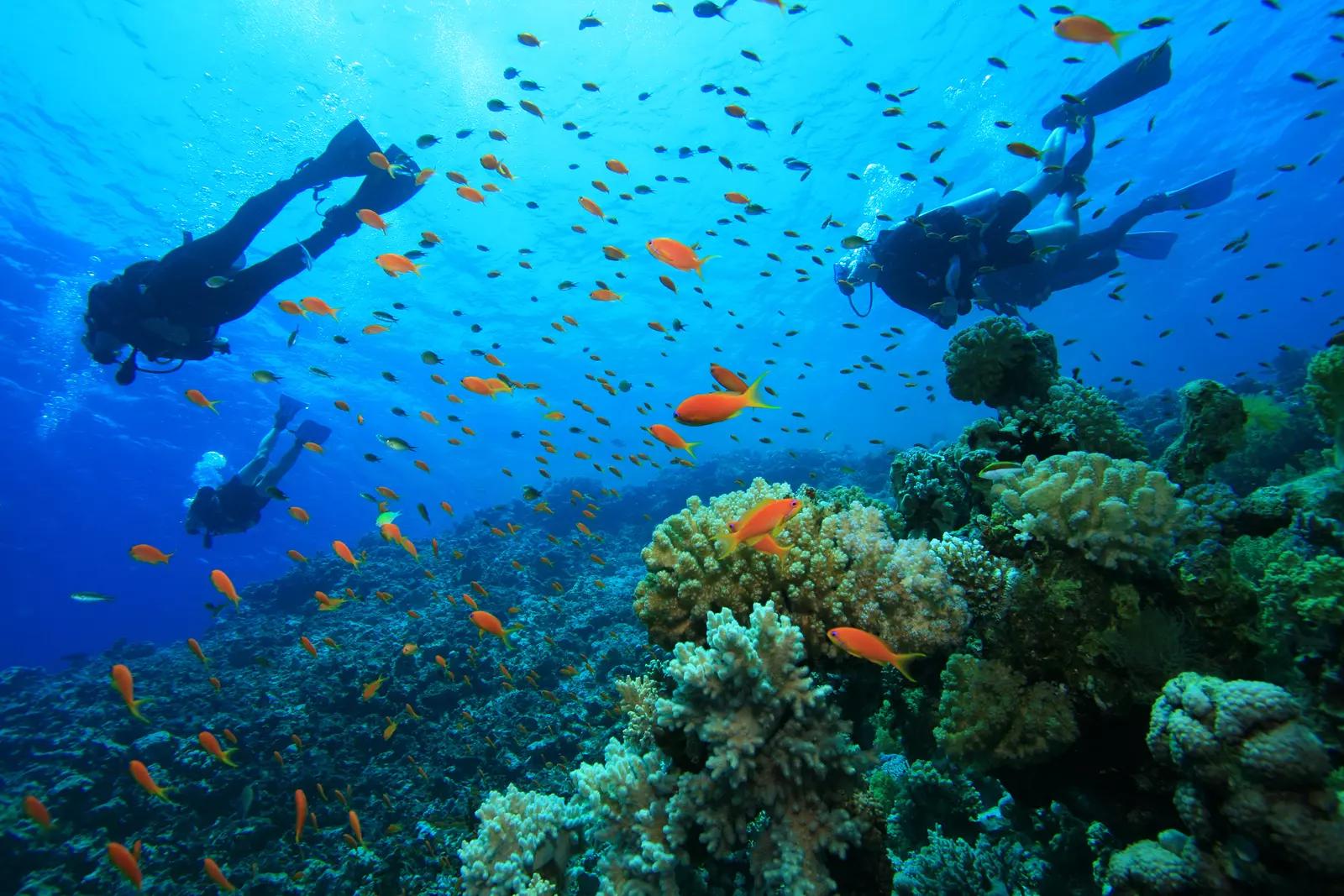 dive-from-beach-santander-philipines-scuba-finders