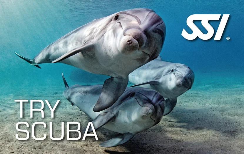 try-scuba-ssi-azzurro-azores