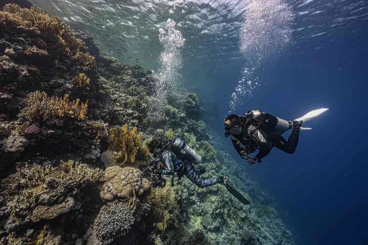 open-water-diver-course-prodive-lanzarote